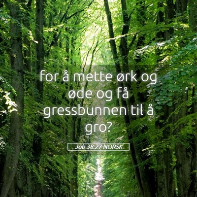Picture 05 - Job 38:27 NORSK - for å mette ørk og øde og få gressbunnen til - Bible Verse Picture
