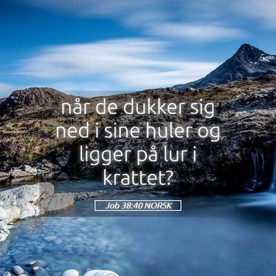 Picture 05 - Job 38:40 NORSK - når de dukker sig ned i sine huler og ligger på - Bible Verse Picture