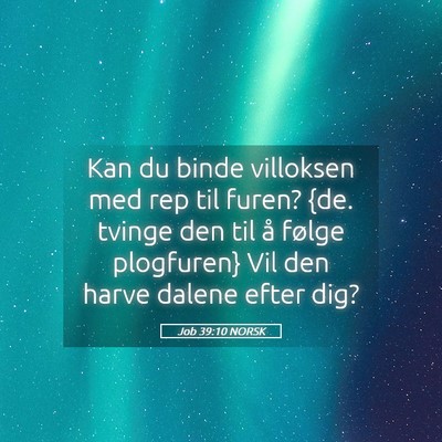Picture 05 - Job 39:10 NORSK - Kan du binde villoksen med rep til furen? {de. - Bible Verse Picture