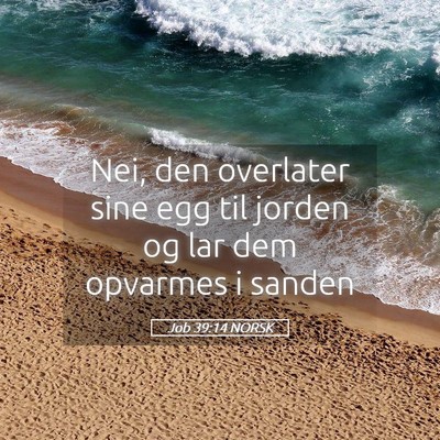 Picture 05 - Job 39:14 NORSK - Nei, den overlater sine egg til jorden og lar dem - Bible Verse Picture
