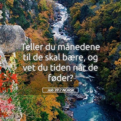 Picture 05 - Job 39:2 NORSK - Teller du månedene til de skal bære, og vet du - Bible Verse Picture
