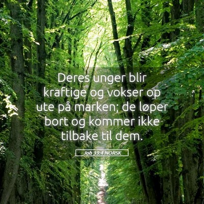 Picture 05 - Job 39:4 NORSK - Deres unger blir kraftige og vokser op ute på - Bible Verse Picture
