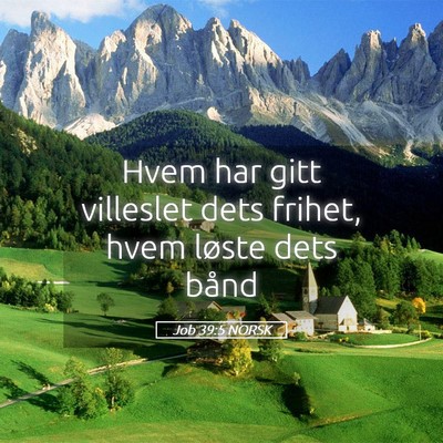 Picture 05 - Job 39:5 NORSK - Hvem har gitt villeslet dets frihet, hvem løste - Bible Verse Picture