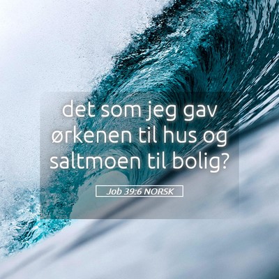 Picture 05 - Job 39:6 NORSK - det som jeg gav ørkenen til hus og saltmoen til - Bible Verse Picture