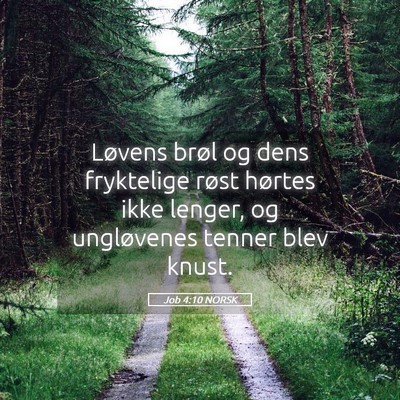Picture 05 - Job 4:10 NORSK - Løvens brøl og dens fryktelige røst hørtes - Bible Verse Picture