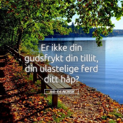 Picture 05 - Job 4:6 NORSK - Er ikke din gudsfrykt din tillit, din ulastelige - Bible Verse Picture
