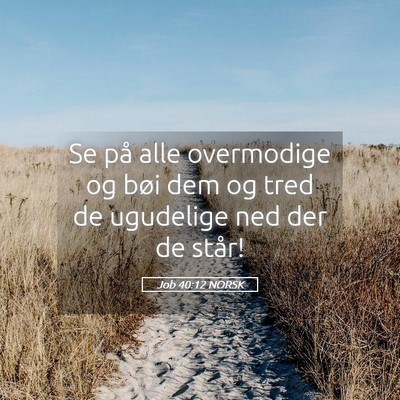 Picture 05 - Job 40:12 NORSK - Se på alle overmodige og bøi dem og tred de - Bible Verse Picture
