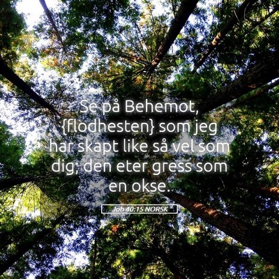 Picture 05 - Job 40:15 NORSK - Se på Behemot, {flodhesten} som jeg har skapt - Bible Verse Picture