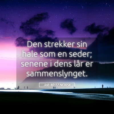 Picture 05 - Job 40:17 NORSK - Den strekker sin hale som en seder; senene i dens - Bible Verse Picture