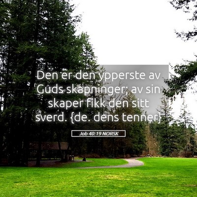 Picture 05 - Job 40:19 NORSK - Den er den ypperste av Guds skapninger; av sin - Bible Verse Picture