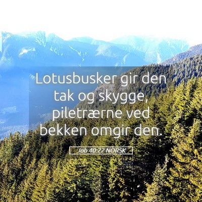 Picture 05 - Job 40:22 NORSK - Lotusbusker gir den tak og skygge, piletrærne - Bible Verse Picture