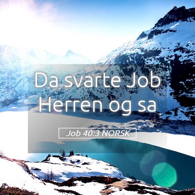 Picture 05 - Job 40:3 NORSK - Da svarte Job Herren og - Bible Verse Picture