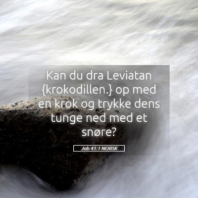 Picture 05 - Job 41:1 NORSK - Kan du dra Leviatan {krokodillen.} op med en krok - Bible Verse Picture