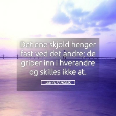 Picture 05 - Job 41:17 NORSK - Det ene skjold henger fast ved det andre; de - Bible Verse Picture