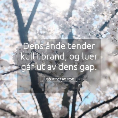 Picture 05 - Job 41:21 NORSK - Dens ånde tender kull i brand, og luer går ut - Bible Verse Picture