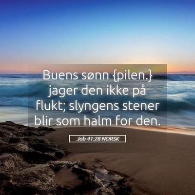 Picture 05 - Job 41:28 NORSK - Buens sønn {pilen.} jager den ikke på flukt; - Bible Verse Picture