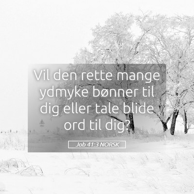 Picture 05 - Job 41:3 NORSK - Vil den rette mange ydmyke bønner til dig eller - Bible Verse Picture