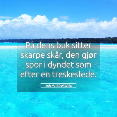 Picture 05 - Job 41:30 NORSK - På dens buk sitter skarpe skår, den gjør spor - Bible Verse Picture