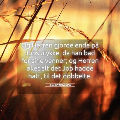 Picture 05 - Job 42:10 NORSK - Og Herren gjorde ende på Jobs ulykke, da han bad - Bible Verse Picture