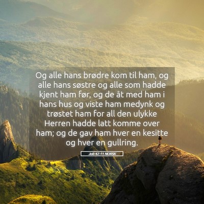 Picture 05 - Job 42:11 NORSK - Og alle hans brødre kom til ham, og alle hans - Bible Verse Picture