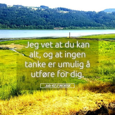 Picture 05 - Job 42:2 NORSK - Jeg vet at du kan alt, og at ingen tanke er - Bible Verse Picture