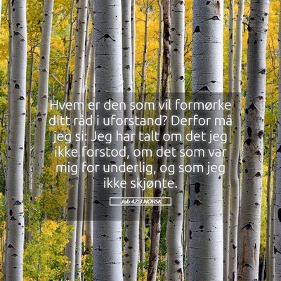 Picture 05 - Job 42:3 NORSK - Hvem er den som vil formørke ditt råd i - Bible Verse Picture