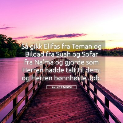 Picture 05 - Job 42:9 NORSK - Så gikk Elifas fra Teman og Bildad fra Suah og - Bible Verse Picture