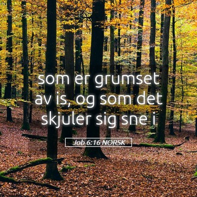 Picture 05 - Job 6:16 NORSK - som er grumset av is, og som det skjuler sig sne - Bible Verse Picture