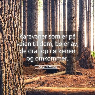 Picture 05 - Job 6:18 NORSK - Karavaner som er på veien til dem, bøier av; de - Bible Verse Picture