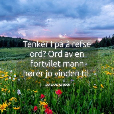 Picture 05 - Job 6:26 NORSK - Tenker I på å refse ord? Ord av en fortvilet - Bible Verse Picture