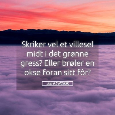 Picture 05 - Job 6:5 NORSK - Skriker vel et villesel midt i det grønne gress? - Bible Verse Picture
