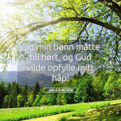 Picture 05 - Job 6:8 NORSK - Gid min bønn måtte bli hørt, og Gud vilde - Bible Verse Picture