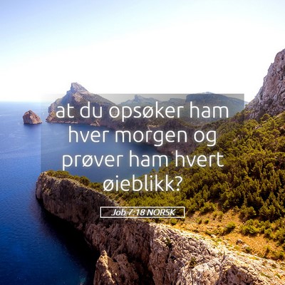 Picture 05 - Job 7:18 NORSK - at du opsøker ham hver morgen og prøver ham - Bible Verse Picture