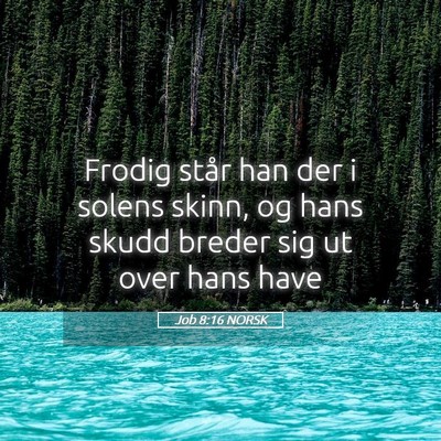 Picture 05 - Job 8:16 NORSK - Frodig står han der i solens skinn, og hans - Bible Verse Picture