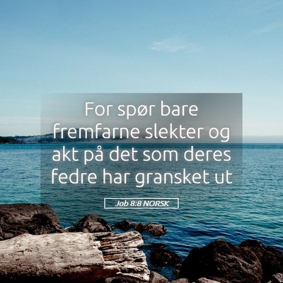 Picture 05 - Job 8:8 NORSK - For spør bare fremfarne slekter og akt på det - Bible Verse Picture