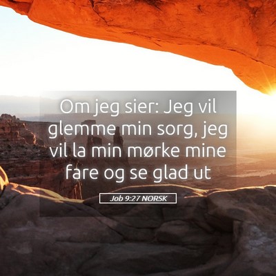 Picture 05 - Job 9:27 NORSK - Om jeg sier: Jeg vil glemme min sorg, jeg vil la - Bible Verse Picture