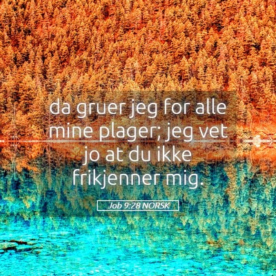 Picture 05 - Job 9:28 NORSK - da gruer jeg for alle mine plager; jeg vet jo at - Bible Verse Picture