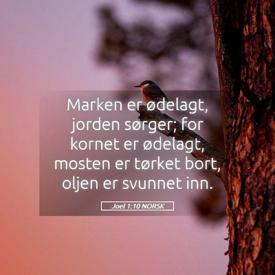 Picture 05 - Joel 1:10 NORSK - Marken er ødelagt, jorden sørger; for kornet er - Bible Verse Picture