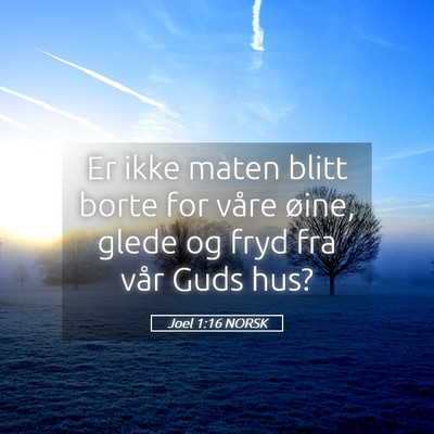 Picture 05 - Joel 1:16 NORSK - Er ikke maten blitt borte for våre øine, glede - Bible Verse Picture