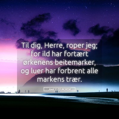 Picture 05 - Joel 1:19 NORSK - Til dig, Herre, roper jeg; for ild har fortært - Bible Verse Picture