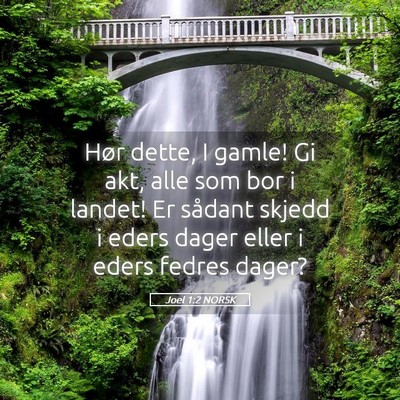 Picture 05 - Joel 1:2 NORSK - Hør dette, I gamle! Gi akt, alle som bor i - Bible Verse Picture