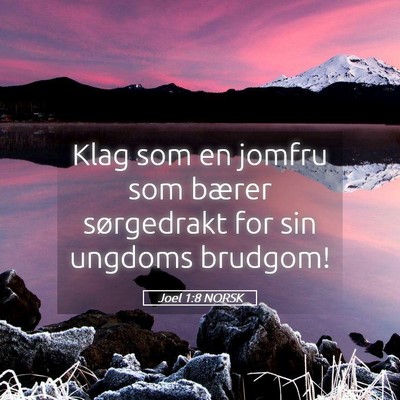 Picture 05 - Joel 1:8 NORSK - Klag som en jomfru som bærer sørgedrakt for sin - Bible Verse Picture