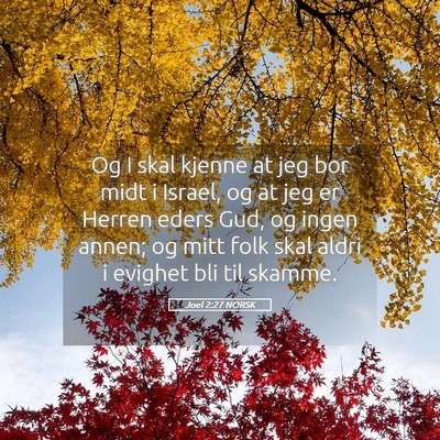 Picture 05 - Joel 2:27 NORSK - Og I skal kjenne at jeg bor midt i Israel, og at - Bible Verse Picture