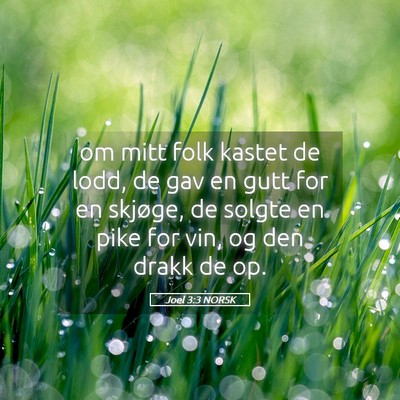 Picture 05 - Joel 3:3 NORSK - om mitt folk kastet de lodd, de gav en gutt for - Bible Verse Picture