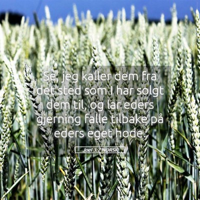 Picture 05 - Joel 3:7 NORSK - Se, jeg kaller dem fra det sted som I har solgt - Bible Verse Picture