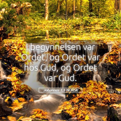 Picture 05 - Johannes 1:1 NORSK - I begynnelsen var Ordet, og Ordet var hos Gud, og - Bible Verse Picture