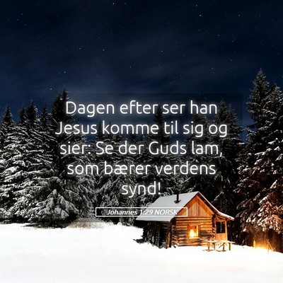 Picture 05 - Johannes 1:29 NORSK - Dagen efter ser han Jesus komme til sig og sier: - Bible Verse Picture