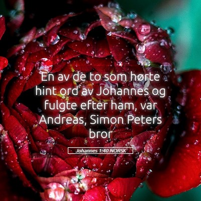 Picture 05 - Johannes 1:40 NORSK - En av de to som hørte hint ord av Johannes og - Bible Verse Picture