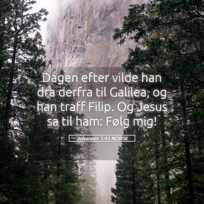 Picture 05 - Johannes 1:43 NORSK - Dagen efter vilde han dra derfra til Galilea, og - Bible Verse Picture