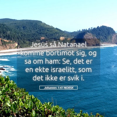 Picture 05 - Johannes 1:47 NORSK - Jesus så Natanael komme bortimot sig, og sa om - Bible Verse Picture